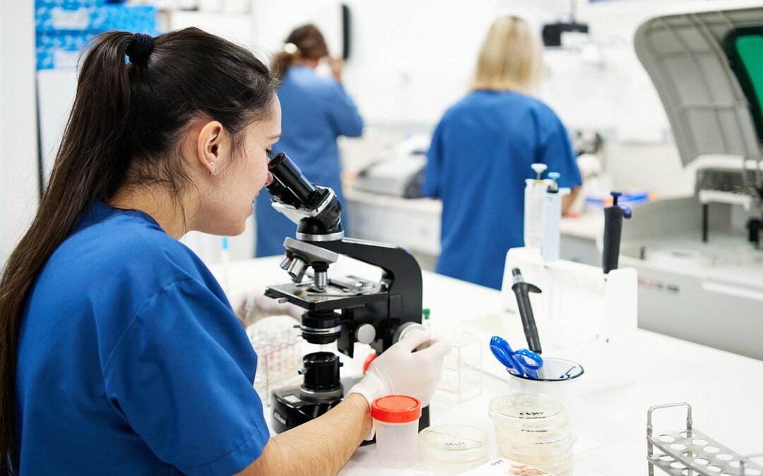 La FP dual apunta a alcanzar los 1,2 millones de alumnos y mira «en igualdad» a la vía «académica»