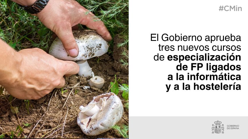 El Gobierno aprueba tres nuevos cursos de especialización de FP ligados a la informática y a la hostelería
