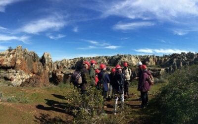 El MITECO impulsa la capacitación y formación en empleos vinculados a la transición ecológica con 12,6 millones de euros para desarrollar 42 proyectos